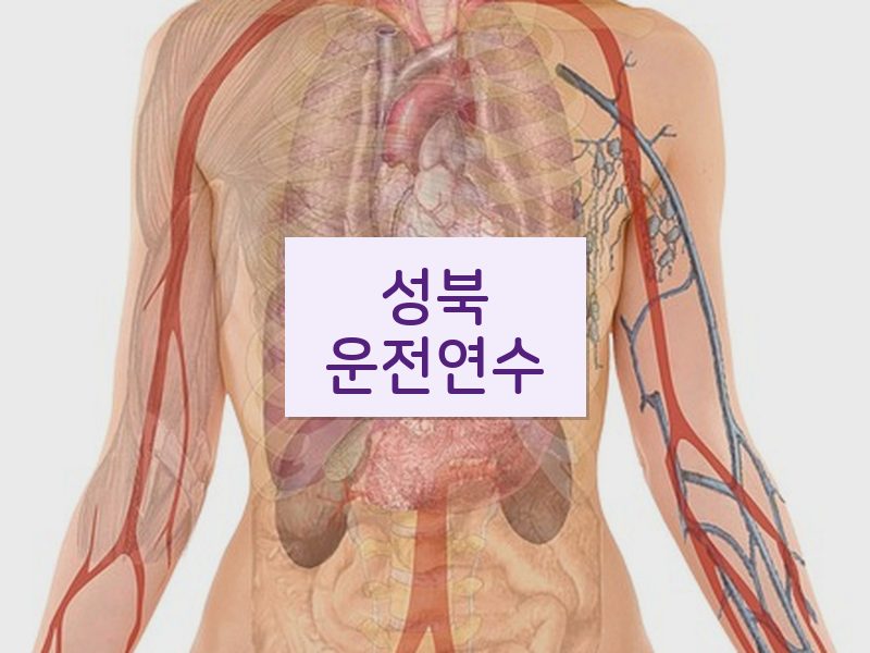 성북운전연수 후기
