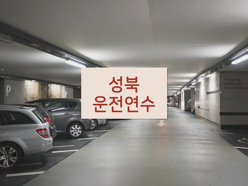 성북운전연수 후기