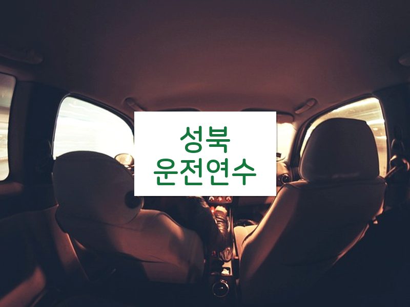 성북운전연수 후기