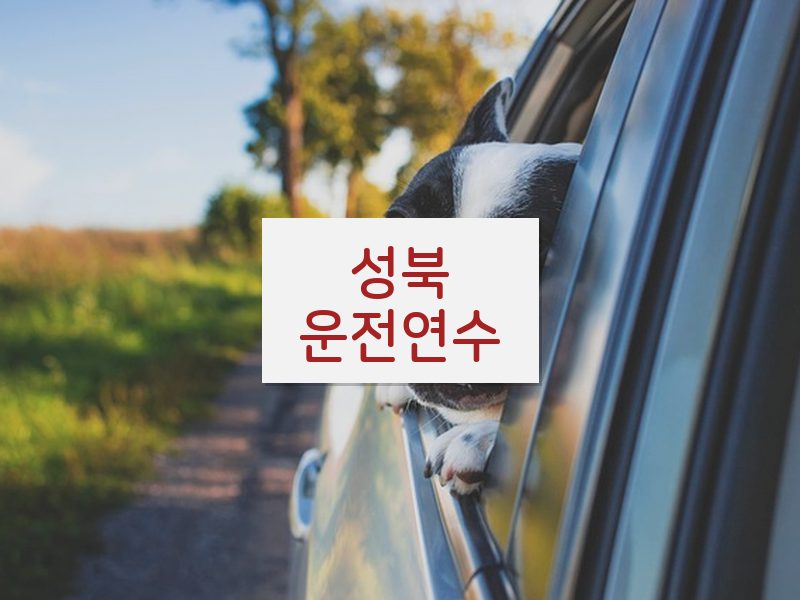 성북운전연수 후기