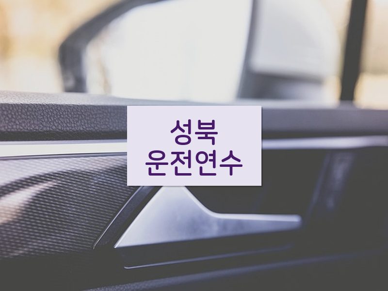 성북운전연수 후기