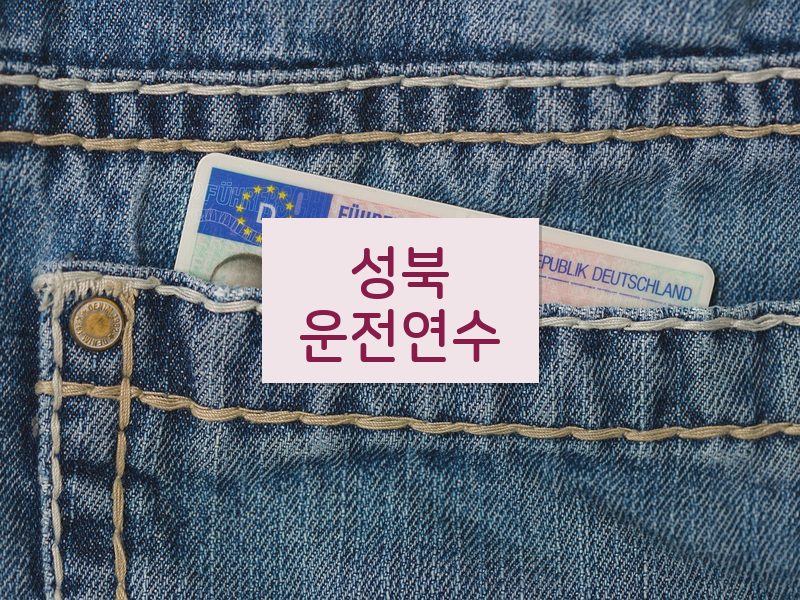 성북운전연수 후기