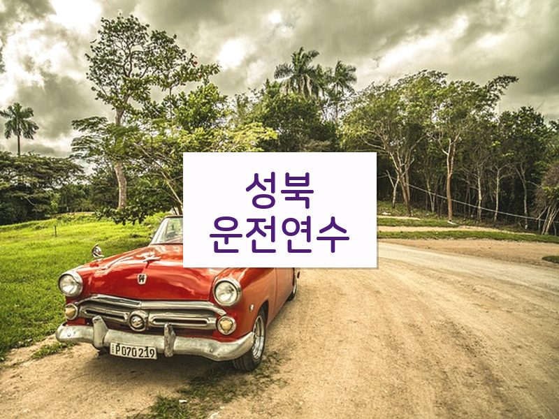 성북운전연수 후기
