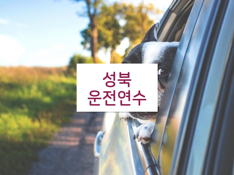 성북운전연수 후기