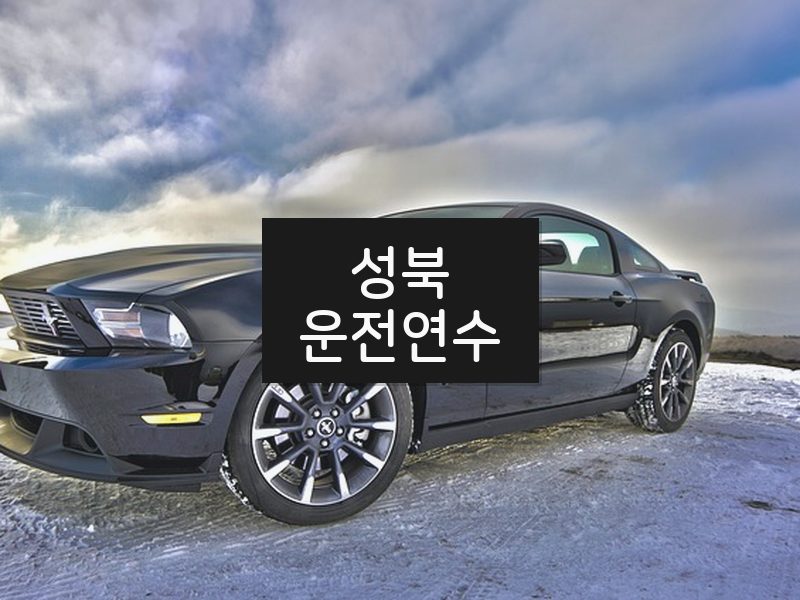 성북운전연수 후기