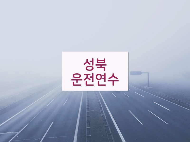 성북운전연수 후기