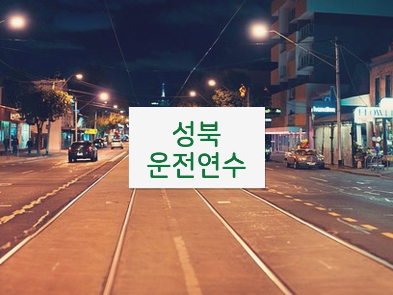 성북운전연수 후기