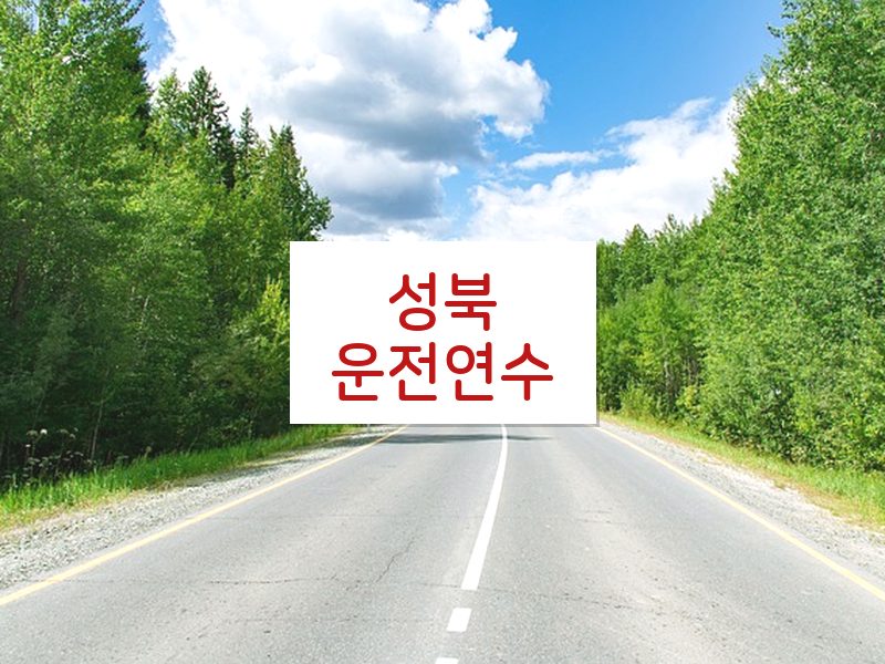 성북운전연수 후기
