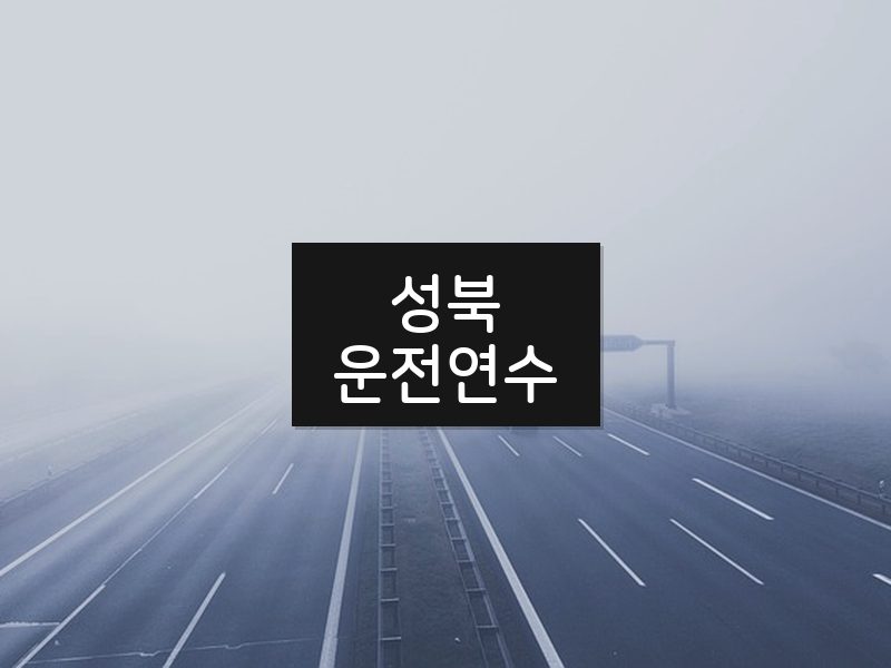 성북운전연수 후기
