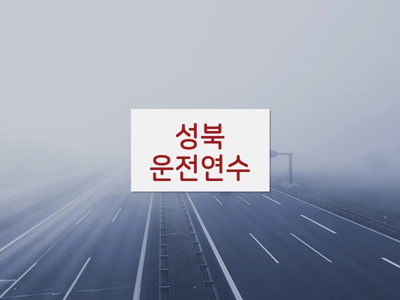 성북운전연수 후기