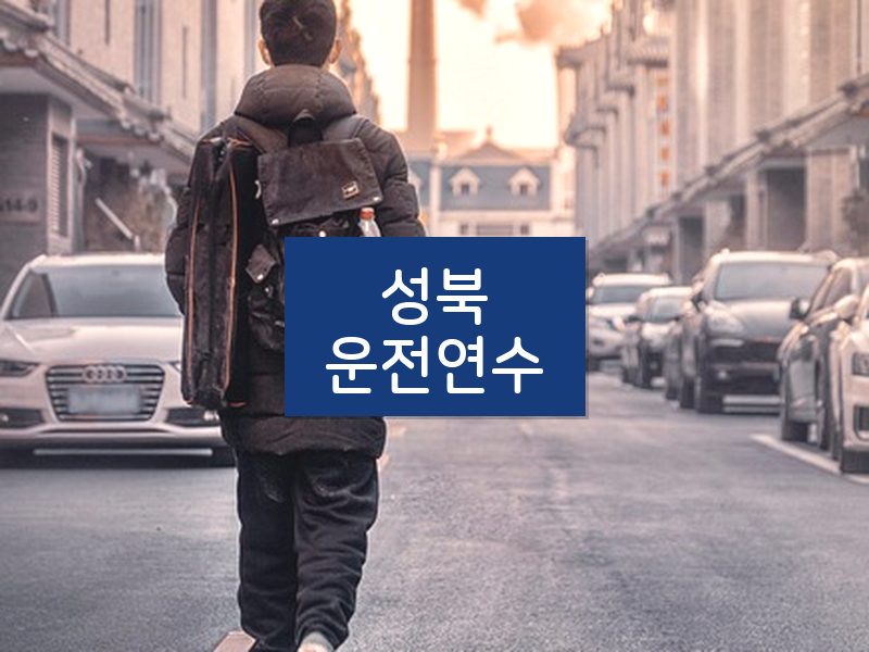 성북운전연수 후기