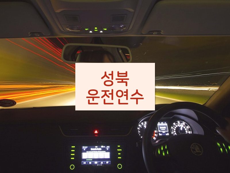 성북운전연수 후기