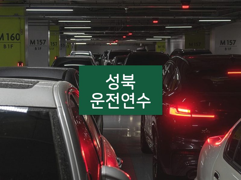 성북운전연수 후기