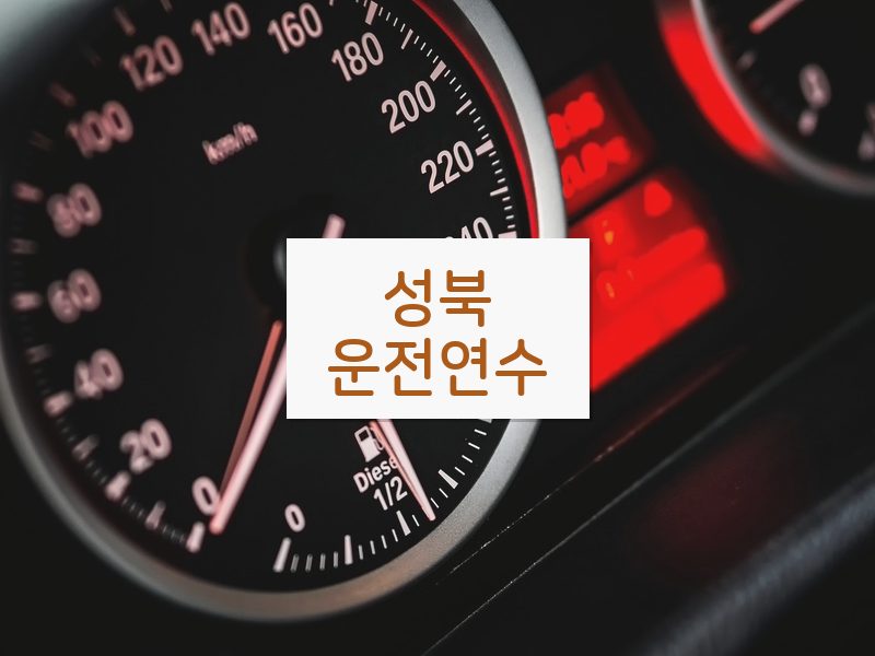 성북운전연수 후기