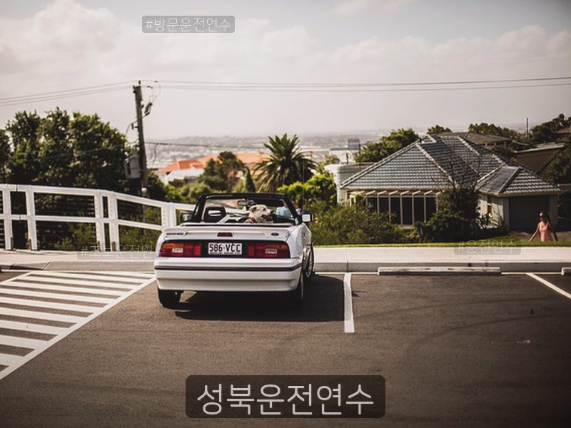 성북운전연수 후기