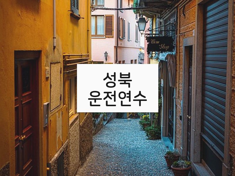 성북운전연수 후기