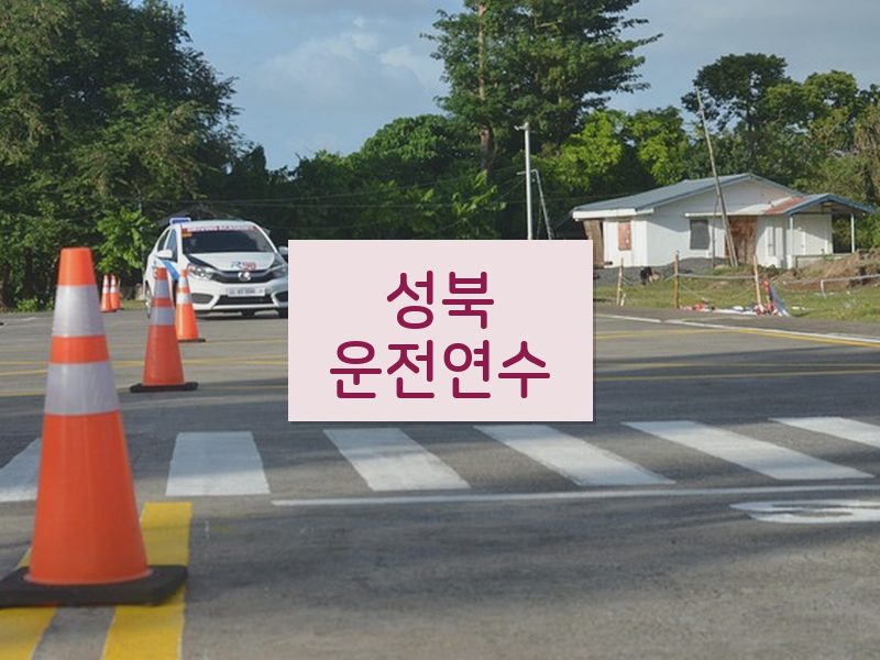 성북운전연수 후기