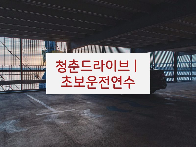 청춘드라이브 | 초보운전연수 후기