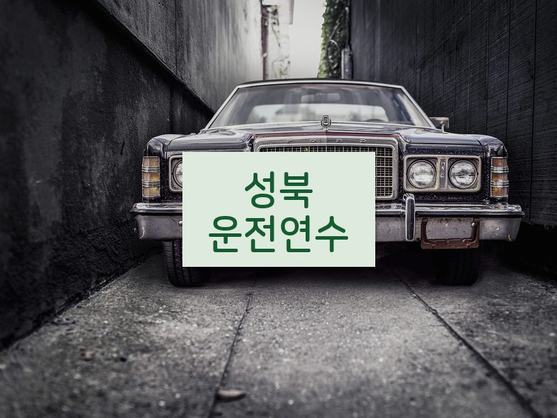 성북운전연수 후기