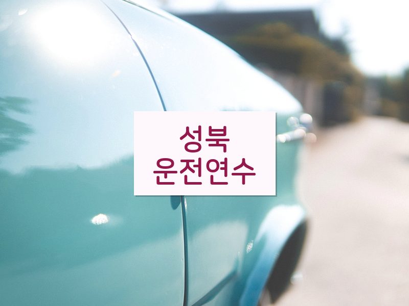 성북운전연수 후기