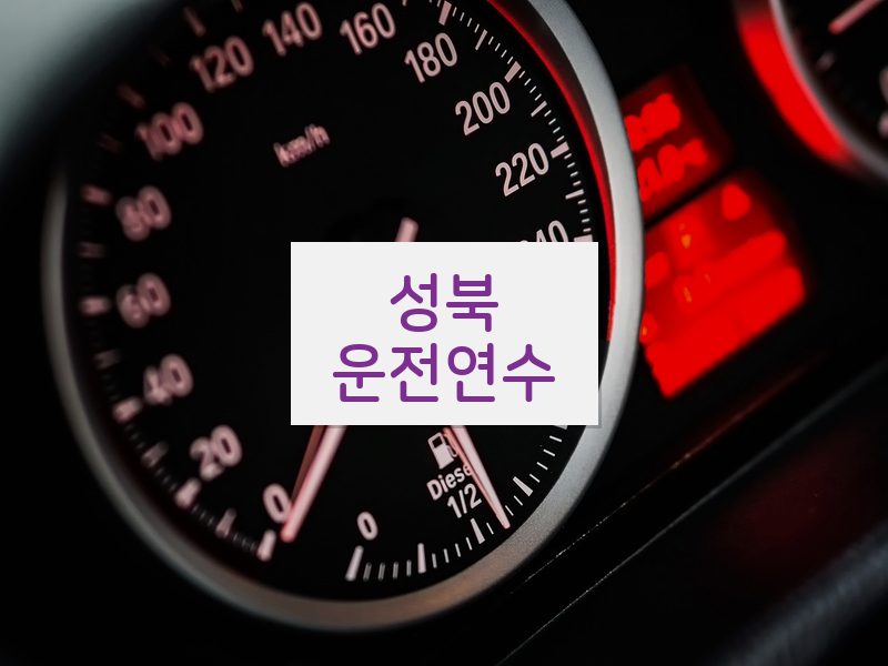 성북운전연수 후기