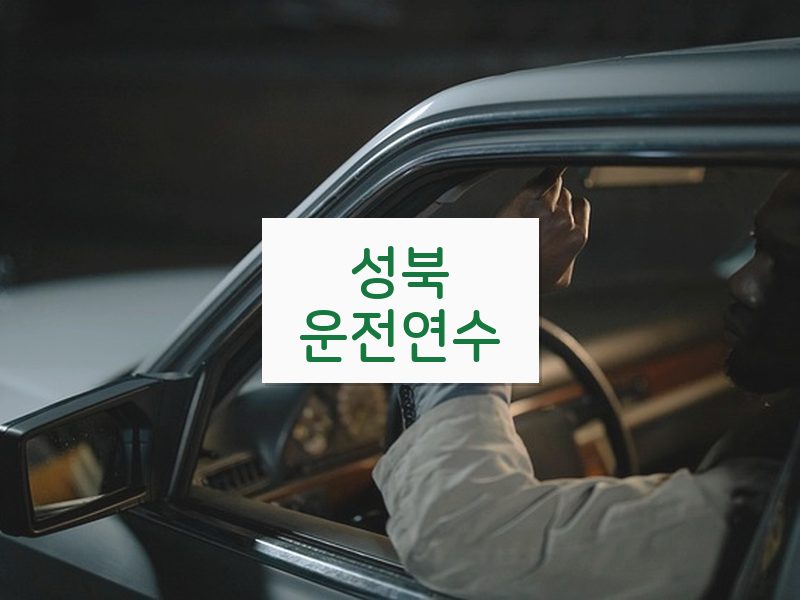 성북운전연수 후기