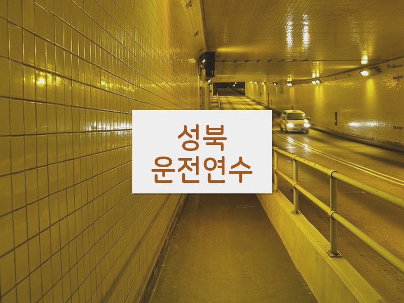 성북운전연수 후기