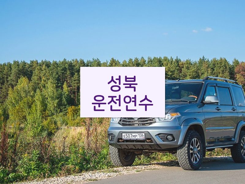성북운전연수 후기