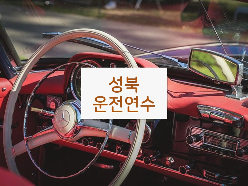 성북운전연수 후기