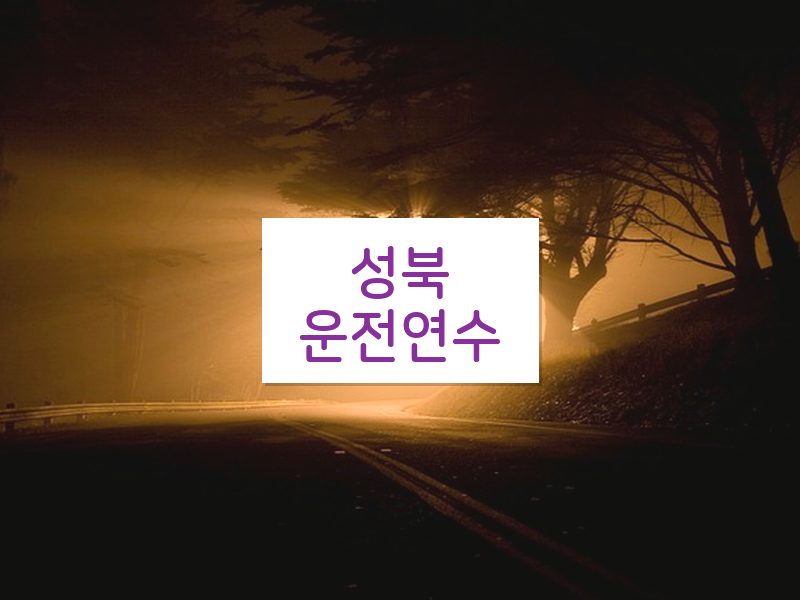 성북운전연수 후기