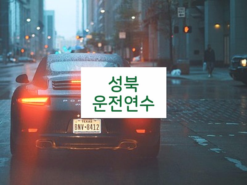 성북운전연수 후기