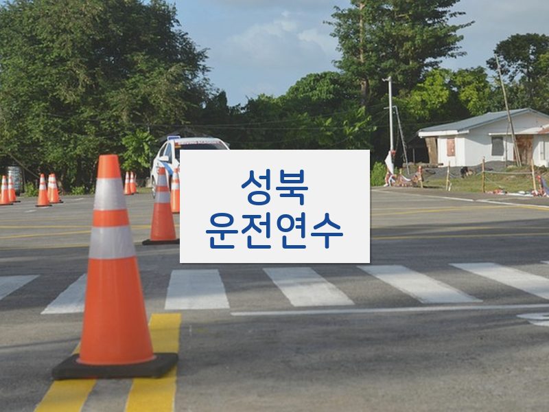 성북운전연수 후기