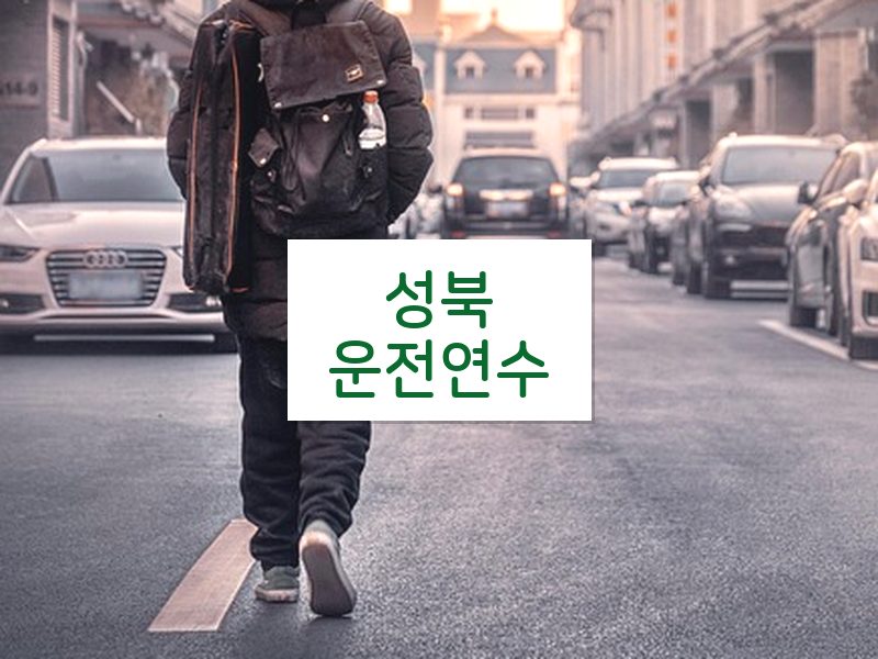 성북운전연수 후기