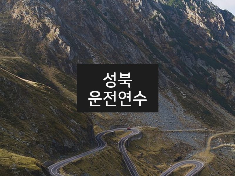 성북운전연수 후기