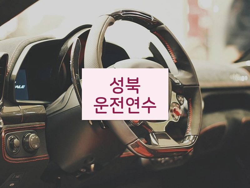 성북운전연수 후기