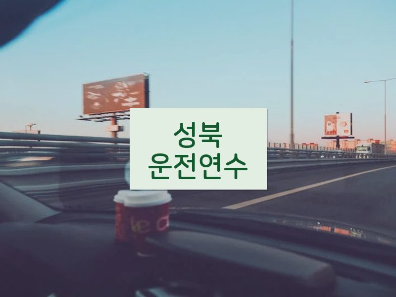 성북운전연수 후기
