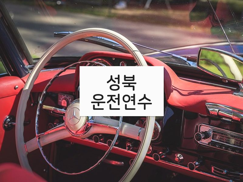 성북운전연수 후기
