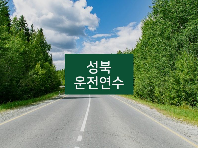 성북운전연수 후기