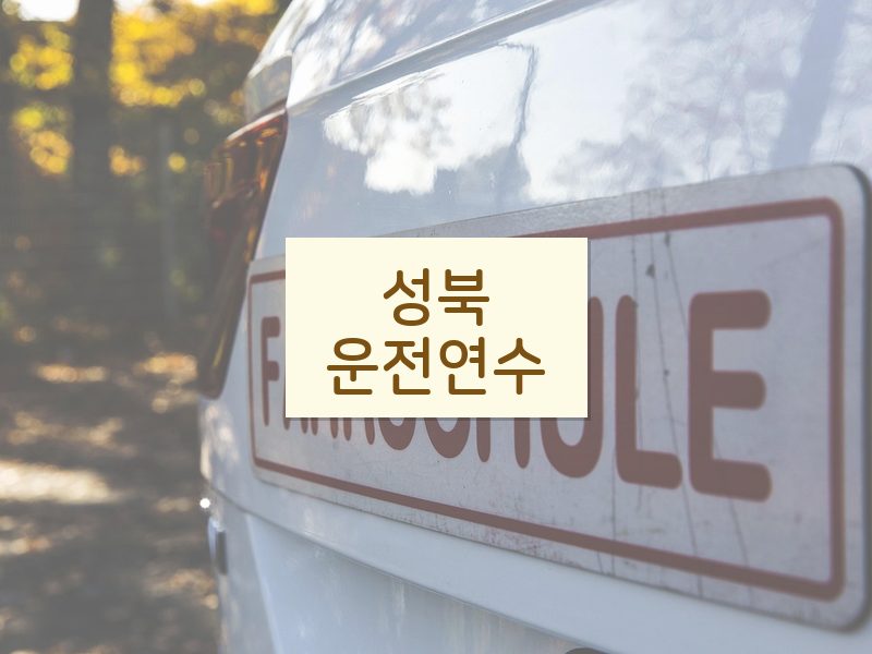 성북운전연수 후기