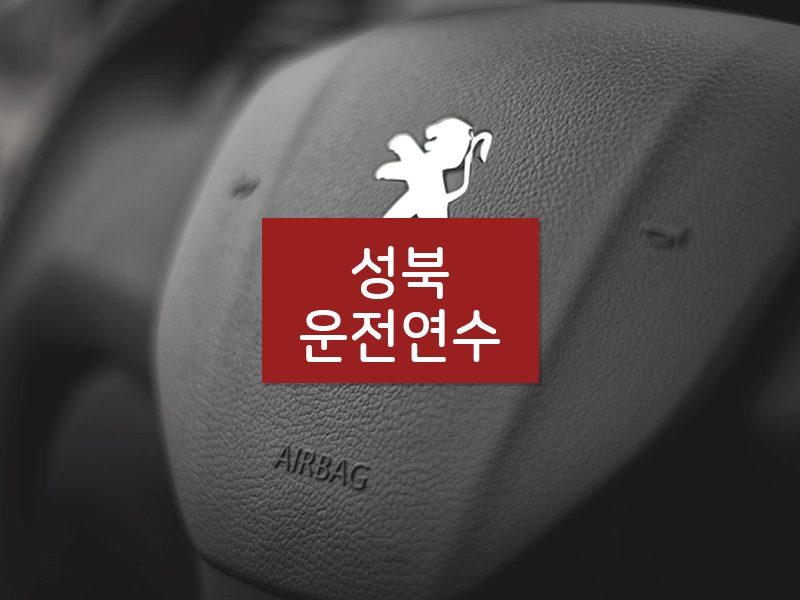 성북운전연수 후기