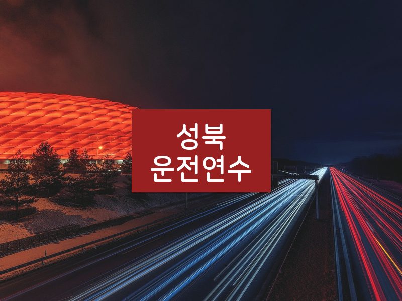 성북운전연수 후기