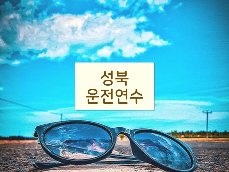 성북운전연수 후기