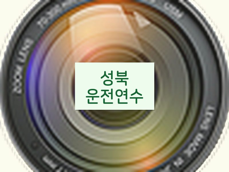 성북운전연수 후기