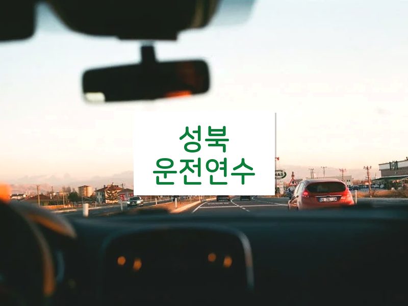 성북운전연수 후기
