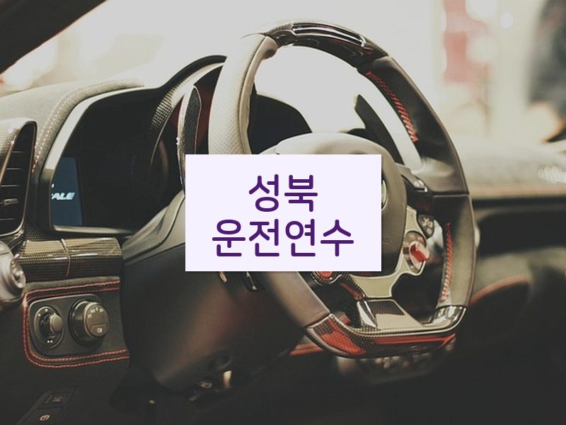 성북운전연수 후기