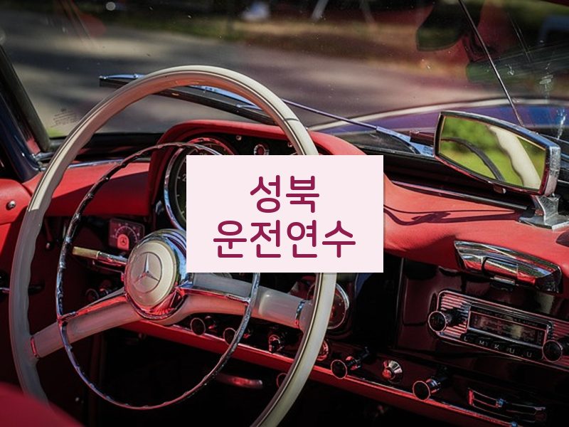성북운전연수 후기