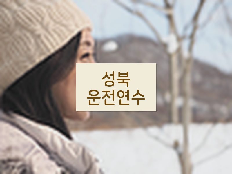 성북운전연수 후기