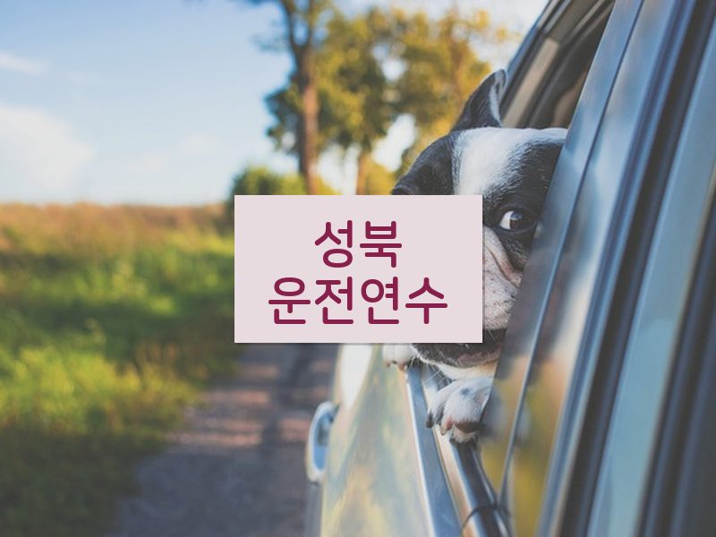 성북운전연수 후기