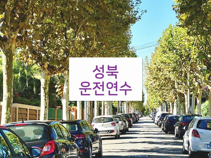 성북운전연수 후기