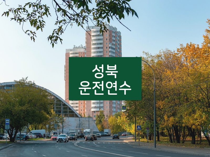 성북운전연수 후기